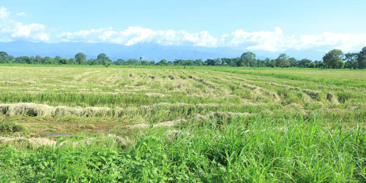Recomendaciones preventivas por inclemencias climáticas