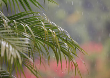 Refuerzan acciones estratégicas ante las lluvias