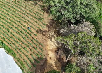 Refuerzan acciones para reducir riesgo de desastres en el sector agropecuario