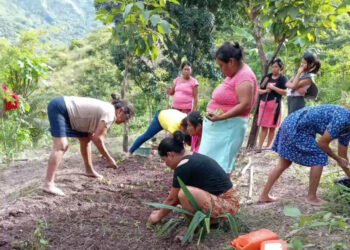 Sistema de riego fortalece la producción agrícola en Jocotán