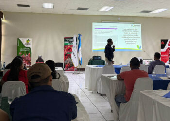 Taller fortalece conocimientos técnicos en producción porcina