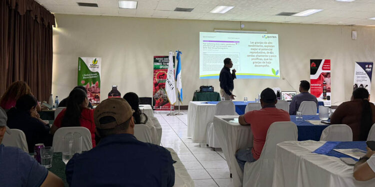Taller fortalece conocimientos técnicos en producción porcina