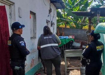 UBA actúa ante caso de maltrato animal evidenciado en redes sociales