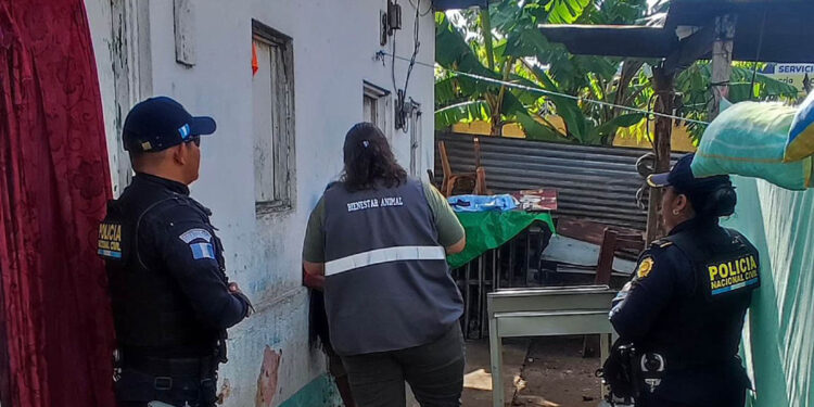 UBA actúa ante caso de maltrato animal evidenciado en redes sociales