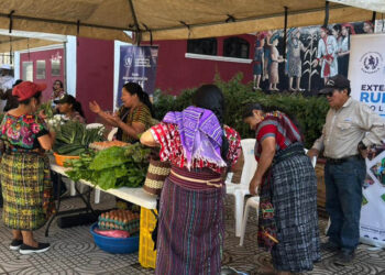 Vegetales frescos a precios accesibles en la Feria del Agricultor de Sololá