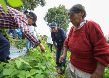 Visita de seguimiento al huerto comunitario modelo de Suquinay