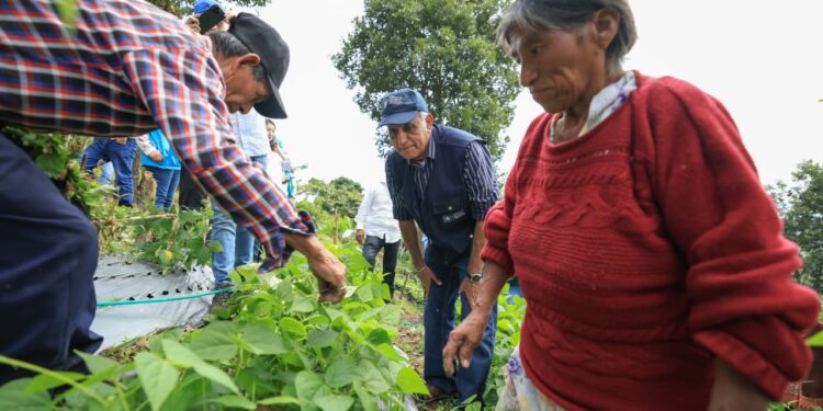 Visita de seguimiento al huerto comunitario modelo de Suquinay