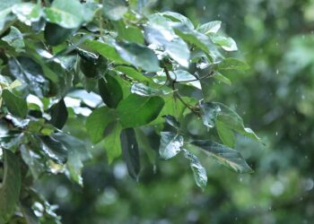 Mantienen vigilancia en 151 municipios ante pronóstico del fin de semana