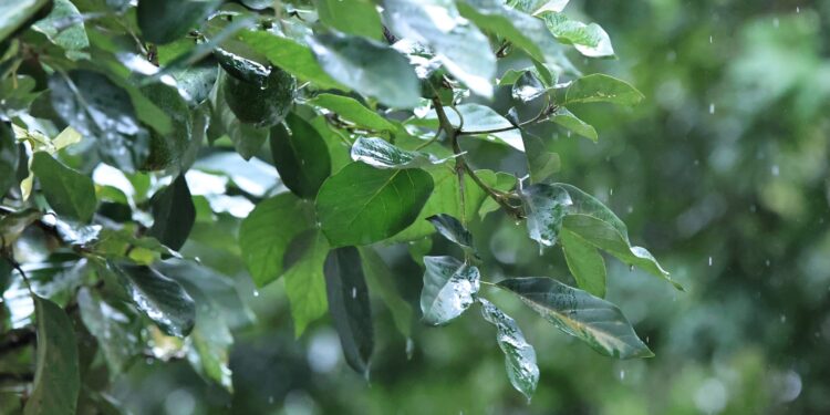 Mantienen vigilancia en 151 municipios ante pronóstico del fin de semana