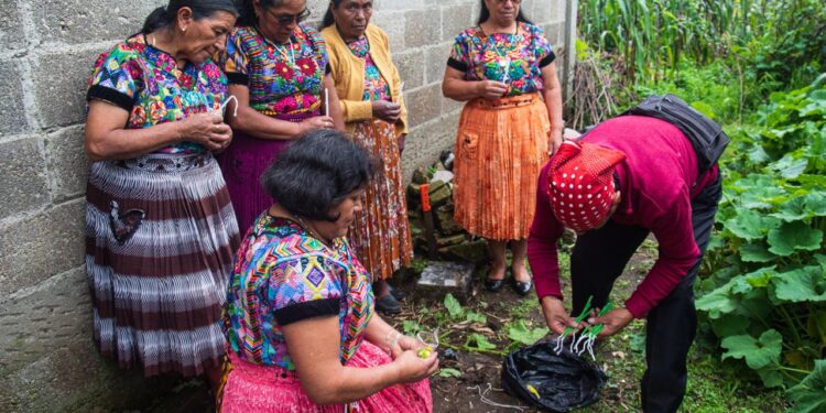 El Acuerdo Ministerial 981-2011 reconoce y regula el ejercicio espiritual ancestral en Guatemala