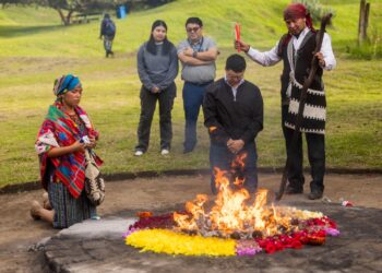 ¿Por qué los Ajq’ijab’ o guías espirituales utilizan carné para realizar ceremonias mayas?