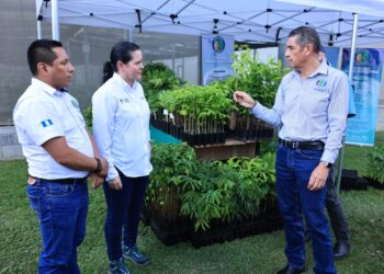 Se reafirma apoyo en beneficio de pequeños productores con cadenas de valor en Alta Verapaz