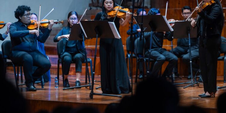 Camerata y Solistas: un bello e íntimo concierto de la Orquesta Sinfónica Nacional