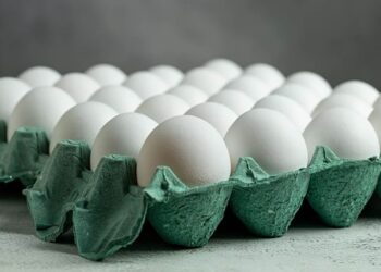 Producción de huevos en el país cuenta con altos estándares sanitarios