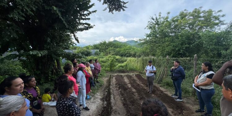 Establecen huerto comunal para fortalecer agricultura familiar en comunidad de Zacapa