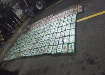 Nuevo golpe al narcotráfico reporta millonario decomiso