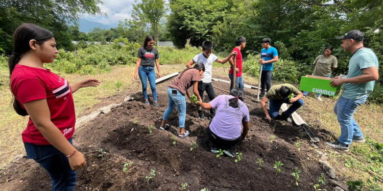 Alimentación saludable con huertos pedagógicos en Río Hondo