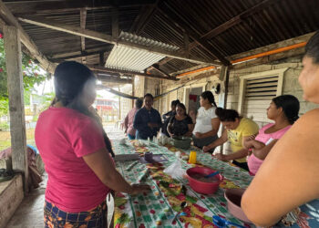 Aloe Vera impulsa emprendimientos en Melchor de Mencos
