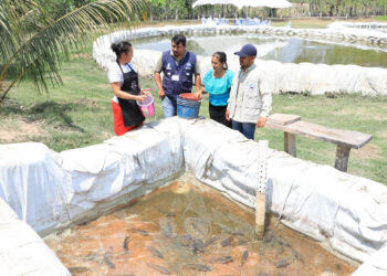 Así puede iniciar un proyecto de Acuicultura Familiar