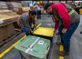 14 de noviembre, Día Internacional contra el Tráfico Ilícito de Bienes Culturales