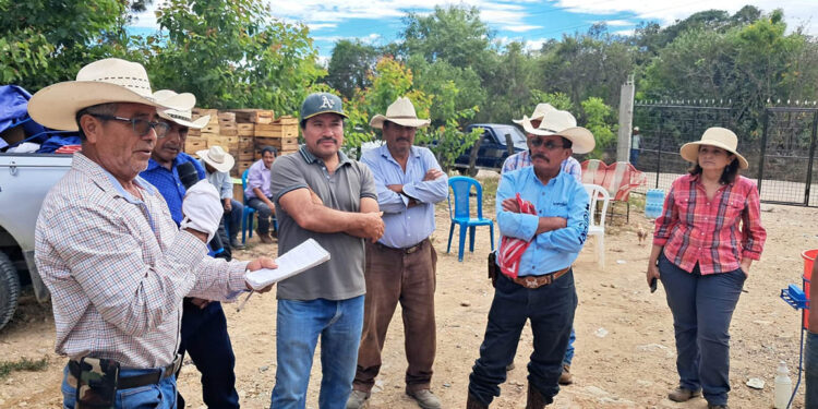 Caficultores de Jutiapa se preparan para nuevos mercados