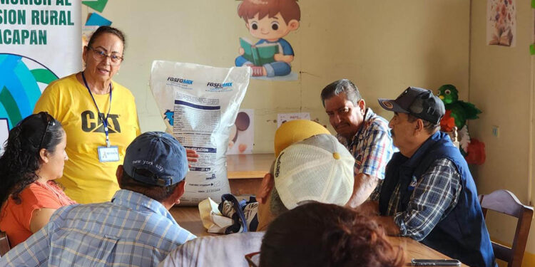 Capacitación técnica beneficia a pequeños productores de Santa Rosa