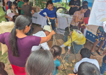 Comunitarios de Esquipulas reciben pollos de engorde e insumos de crianza
