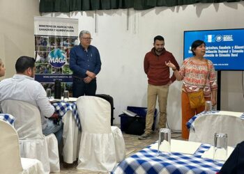 Conozca las instancias de coordinación y articulación que son claves para el desarrollo