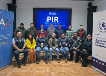 Continúa actualización del PIR con talleres simultáneos en Alta Verapaz y Guatemala