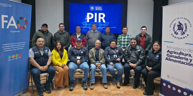 Continúa actualización del PIR con talleres simultáneos en Alta Verapaz y Guatemala