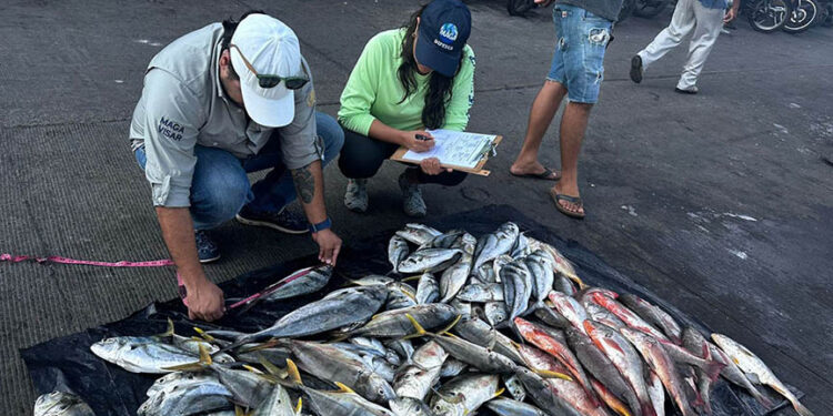 Día Mundial de la Pesca: Guatemala refuerza esfuerzos para fortalecer la pesca responsable