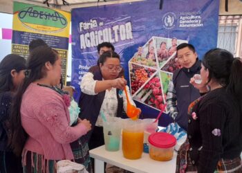 Economía de Santa María Chiquimula recibe impulso con la Feria del Agricultor