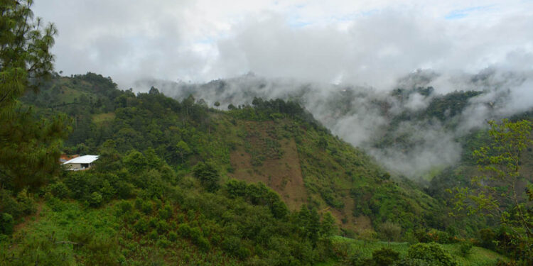 Emiten recomendaciones para proteger cultivos y ganado ante condiciones climáticas variables