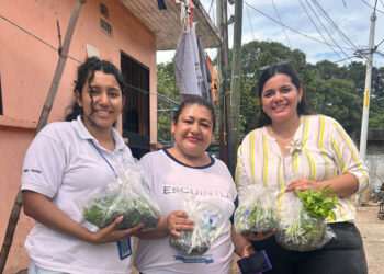 Entrega de pilones fortalece agricultura familiar de 500 mujeres en Escuintla