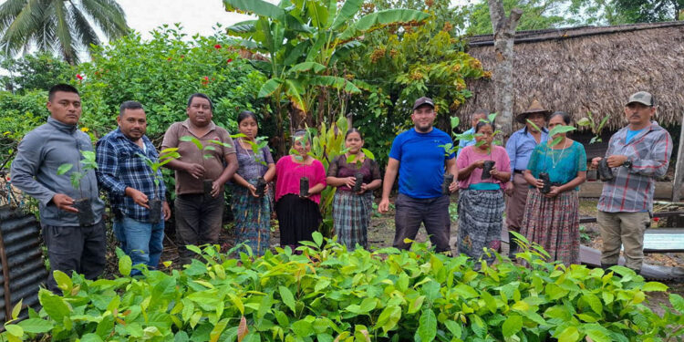 Entrega de plantas fortalece sistemas silvopastoriles en Petén