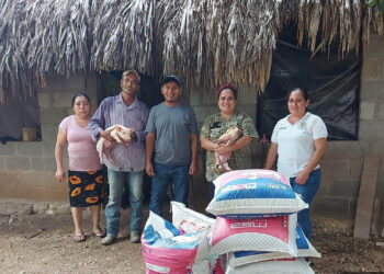 Entregan lechones a productoras rurales de Petén