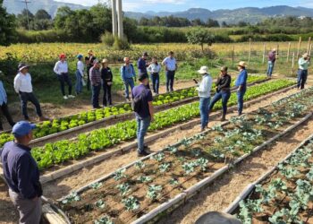 Fortalecen alianzas para mejorar la formación agropecuaria