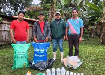 Fortalecen producción de frijol en San Francisco, Petén