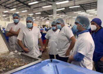 Guatemala y Costa Rica fortalecen cooperación sanitaria pesquera