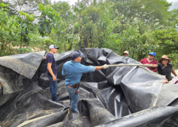 Implementan reservorio y sistema de riego en San Jerónimo, Baja Verapaz