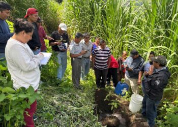 Impulsamos el uso de tecnología en 27 proyectos para lograr cultivos de aguacate más eficientes