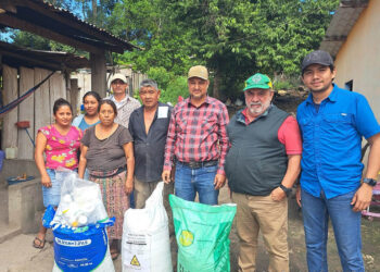 Impulsan proyectos de producción de semilla de frijol