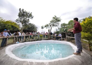 Inauguran plan piloto de cultivo de tilapia para fortalecer la nutrición y la producción familiar