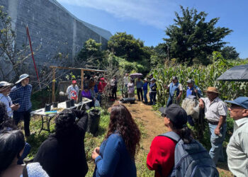 Inauguran primera Granja Experimental Pecuaria en San Bartolomé Milpas Altas