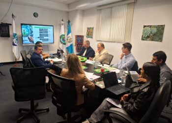 Inician auditoría para aprobar exportación de Petunia y Calibrachoa