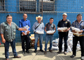 Más de 17 mil productores beneficiados con semillas para fortalecer la agricultura familiar