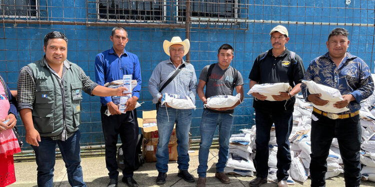 Más de 17 mil productores beneficiados con semillas para fortalecer la agricultura familiar