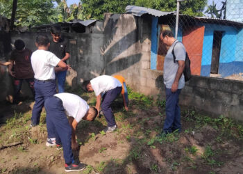 Niños y niñas de San Marcos aprenden cultivando en huertos escolares