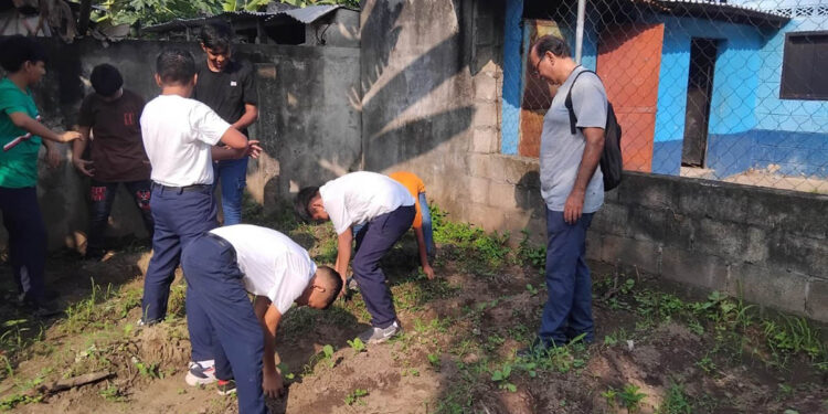 Niños y niñas de San Marcos aprenden cultivando en huertos escolares