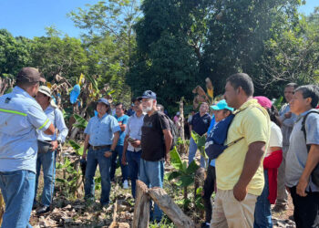 Productores de El Tulate fortalecen sus capacidades en nutrición vegetal y análisis de suelo